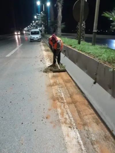 Aménagement TPC et espaces verts – Autoroute Bouchaoui vers Chéraga | SARL STRAPHYB